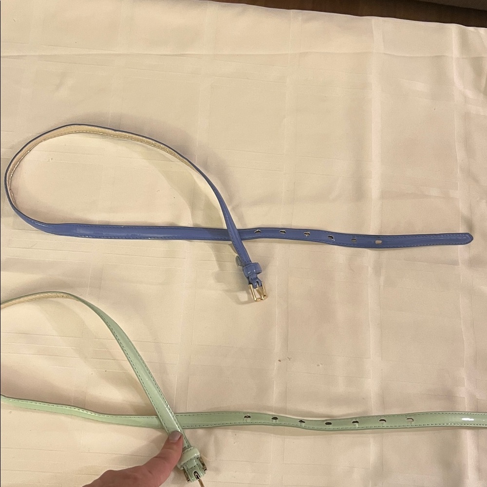 Mint Green and Lavender thin skinny belt gold buckle Bundle 34"  Used size XS